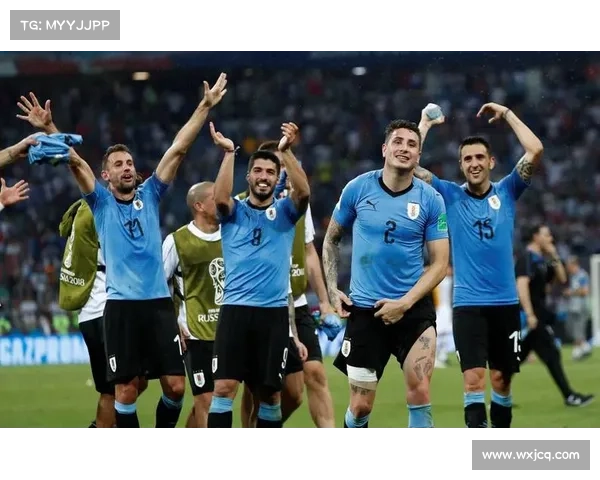 乌拉圭青训体系培养多名欧洲联赛球员助力世预赛南美区竞争