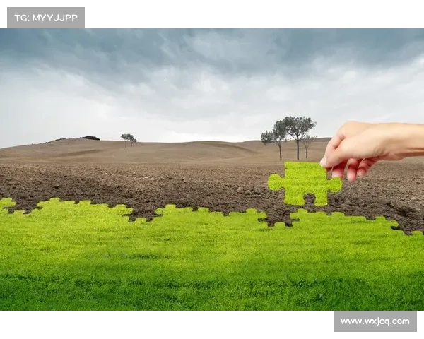 亚马逊纪录片深入揭秘多特蒙德赛季幕后预计2026年全球上线